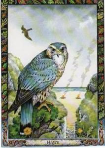 Sacred to Diana - A Falcon after a Fashion