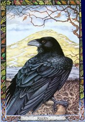 Sacred to Linda - Blessed be the Brave